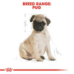 3kg ROYAL CANIN Pug Puppy Food