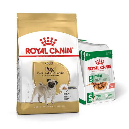 Royal Canin Pug Adult Dog Food 3kg & Royal Canin Mini Breed Adult Pouch 85gx12
