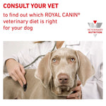 12KG Royal Canin Veterinary Diet Canine Gastrointestinal Low Fat Dry Dog Food