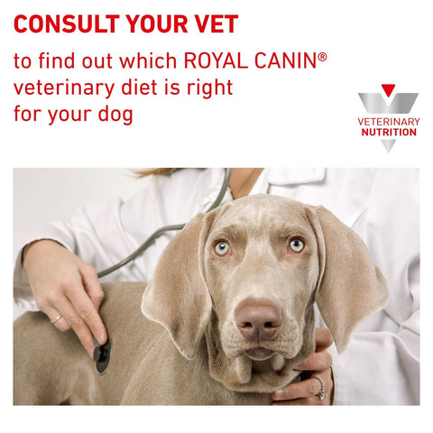 12KG Royal Canin Veterinary Diet Canine Gastrointestinal Low Fat Dry Dog Food