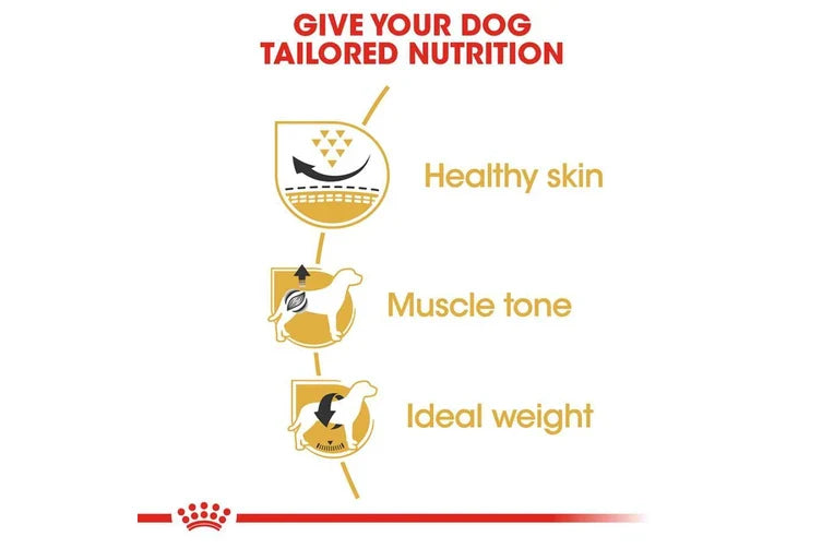 12KG Royal Canin Pug Adult Dry Dog Food