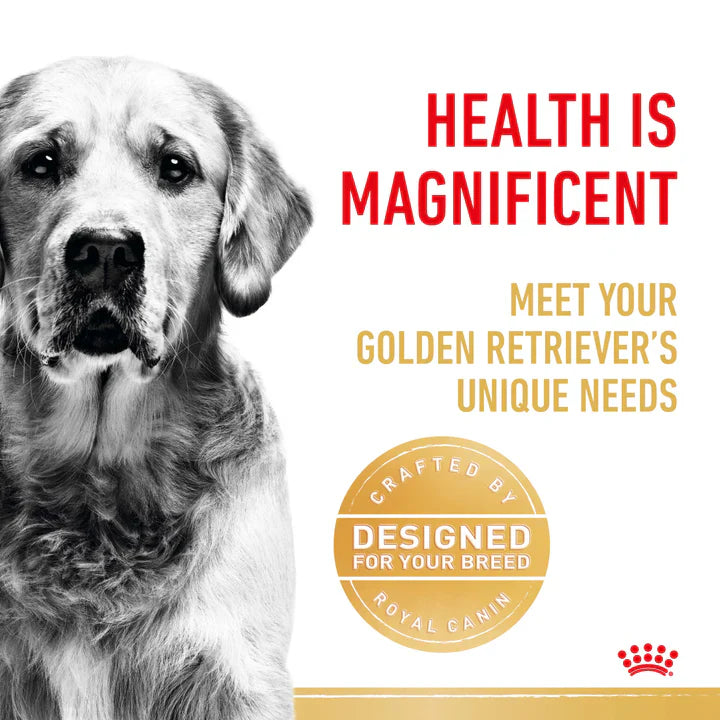 12KG Royal Canin Golden Retriever Breed Adult Dry Dog Food