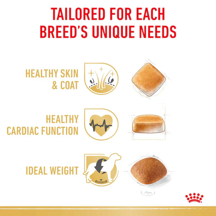 12KG Royal Canin Golden Retriever Breed Adult Dry Dog Food