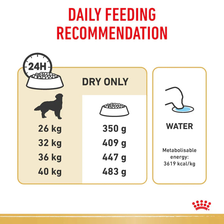 12KG Royal Canin Golden Retriever Breed Adult Dry Dog Food
