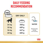 12KG Royal Canin Golden Retriever Breed Adult Dry Dog Food