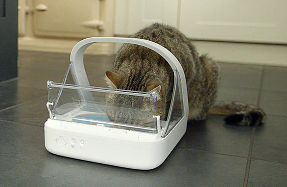 Surefeed Microchip Pet Feeder - Smart Feeder & Collar Tag For Pets