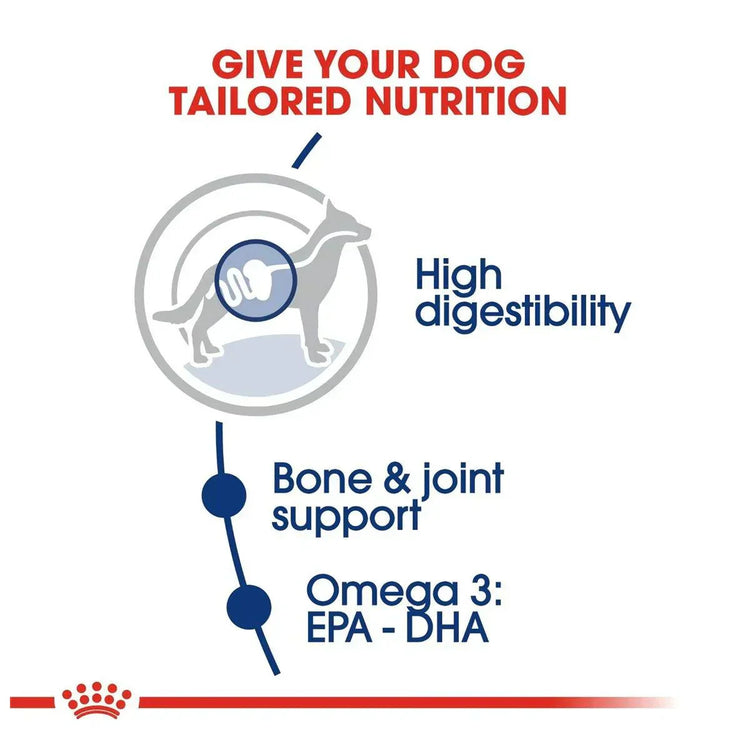 15KG Royal Canin Maxi Adult Dry Dog Food