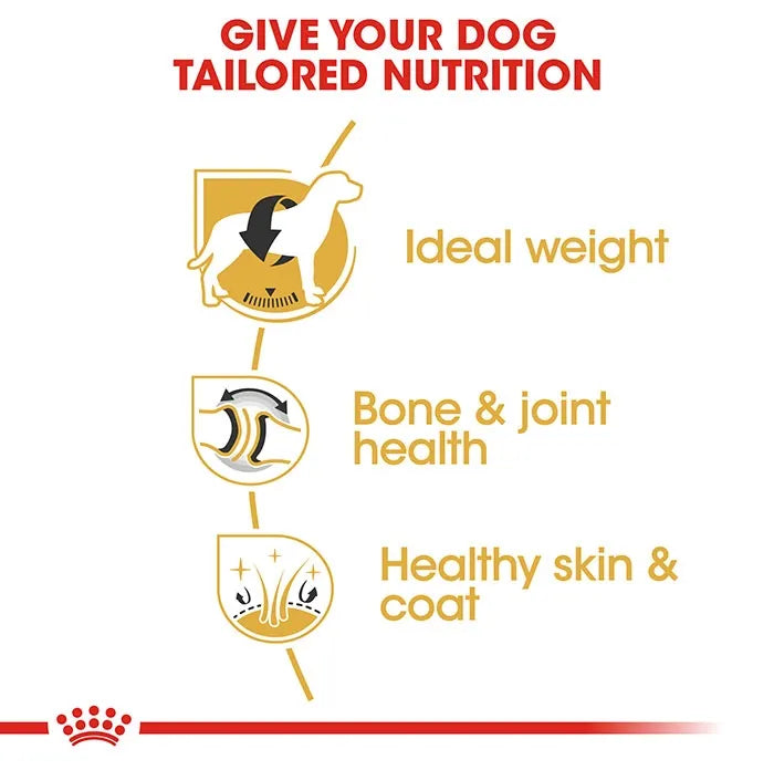 12kg ROYAL CANIN Labrador Dog Food