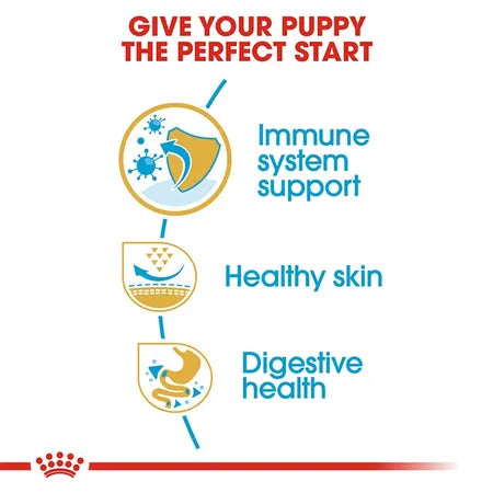 3kg ROYAL CANIN Pug Puppy Food