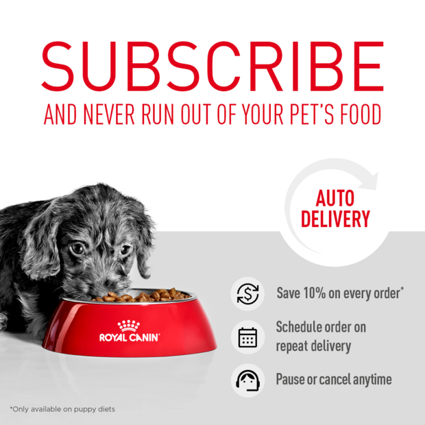 12KG Royal Canin Golden Retriever Puppy Dry Dog Food