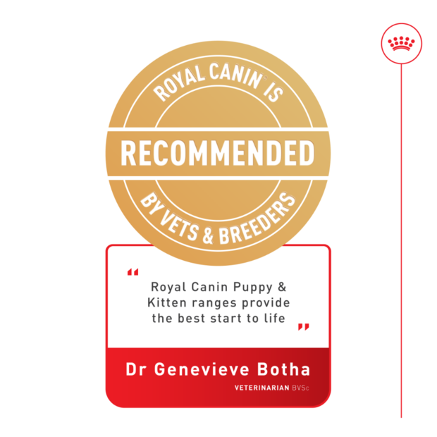 12KG Royal Canin Golden Retriever Puppy Dry Dog Food