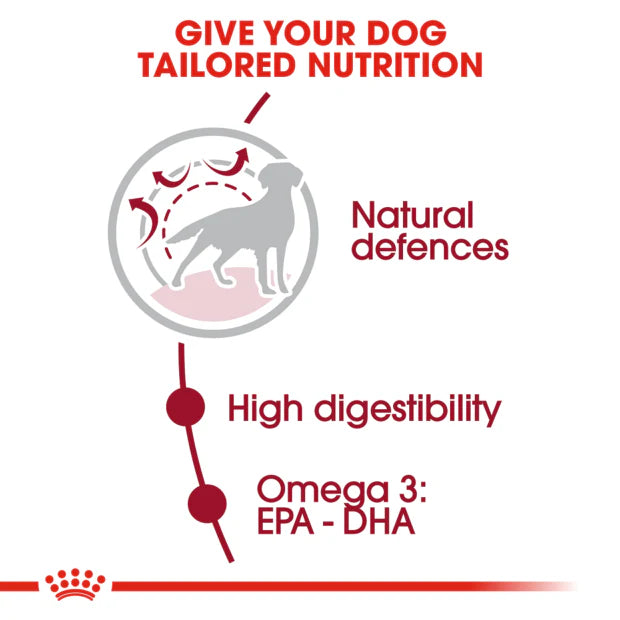 15kg Royal Canin Medium Adult Dry Dog Food