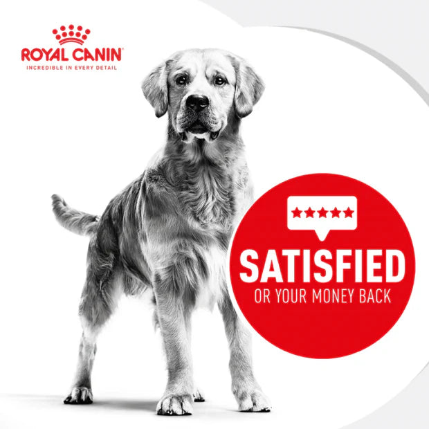 15kg Royal Canin Medium Adult Dry Dog Food