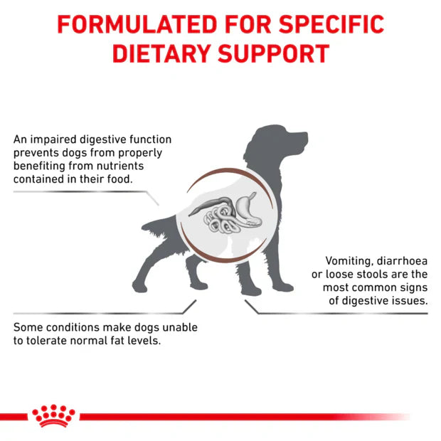 Royal Canin Veterinary Gastrointestinal Low Fat Dry Food Dog 12Kg-24Kg