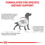 Royal Canin Veterinary Gastrointestinal Low Fat Dry Food Dog 12Kg-24Kg