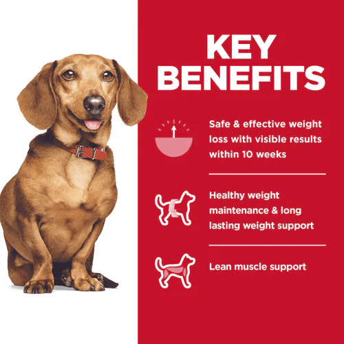 5.67KG Adult Perfect Weight Small & Mini Chicken Recipe dog food