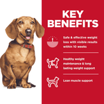 5.67KG Adult Perfect Weight Small & Mini Chicken Recipe dog food
